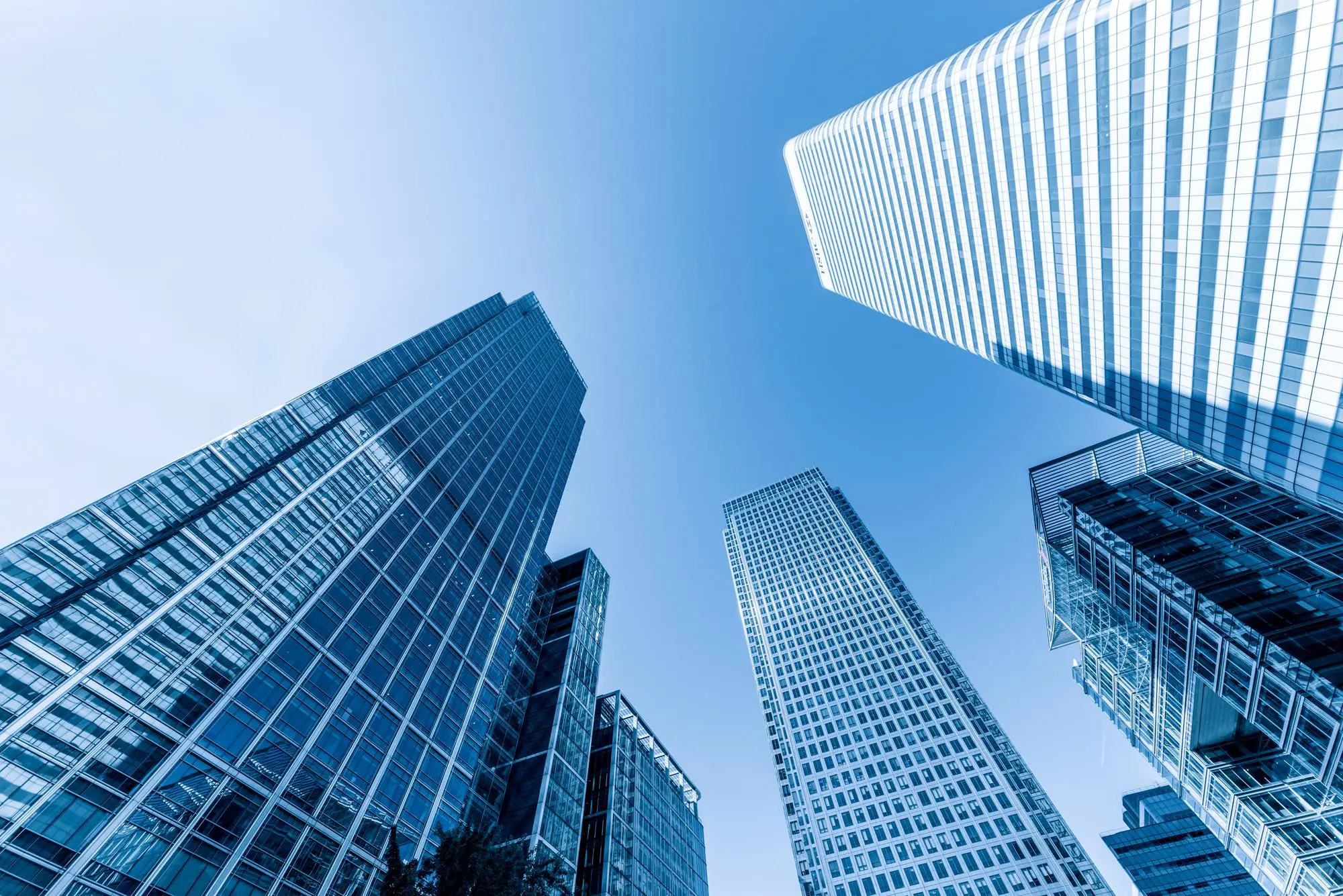 2005 연혁 이미지